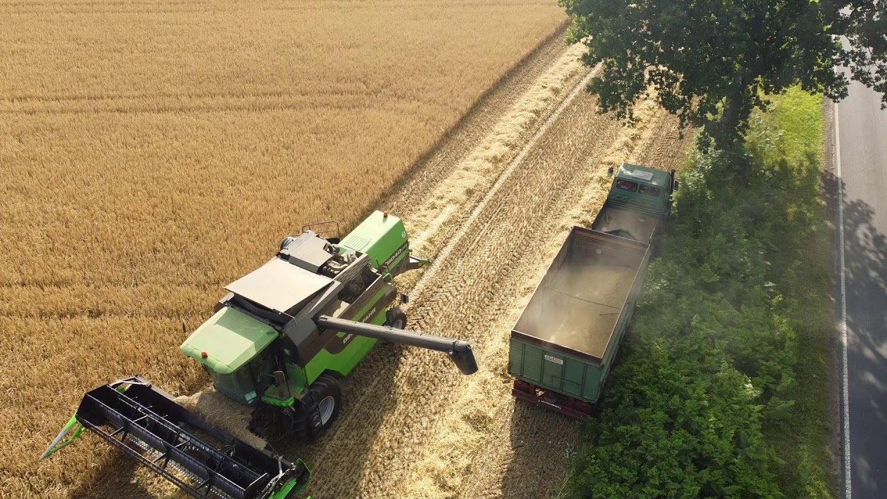 Getreide dreschen mit einem Deutz-Fahr 6040 HTS Mähdrescher 🌾 DJI Mavic Mini (13.07.2020)