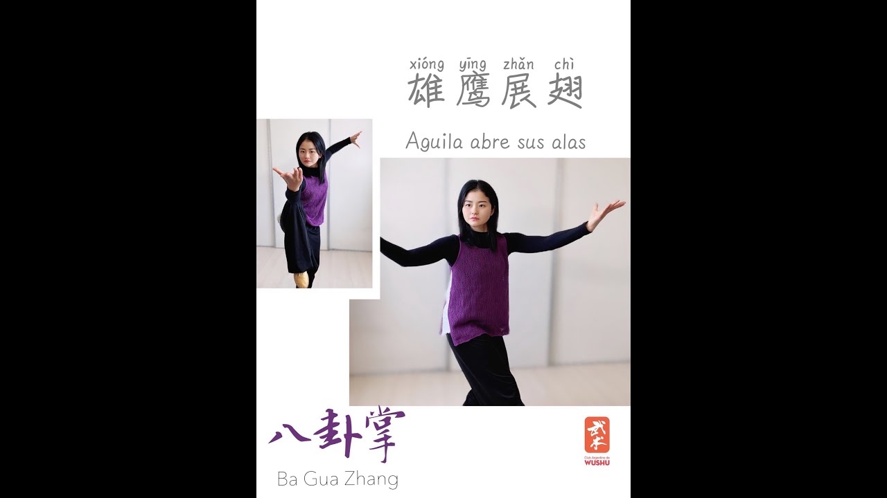 Wushu Kung Fu en Casa Día 93 BaGua Águila Abre Sus Alas 雄鹰展翅八卦掌 Eight Trigram Palm Soaring Eagle