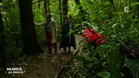 Rencontre : producteur de légumes bio du Costa Rica  - Silence, ça pousse !