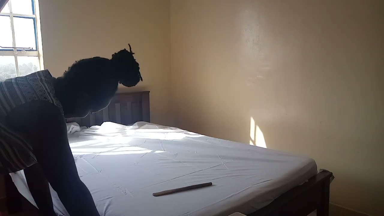 Cleaning and Organizing/A day in the life