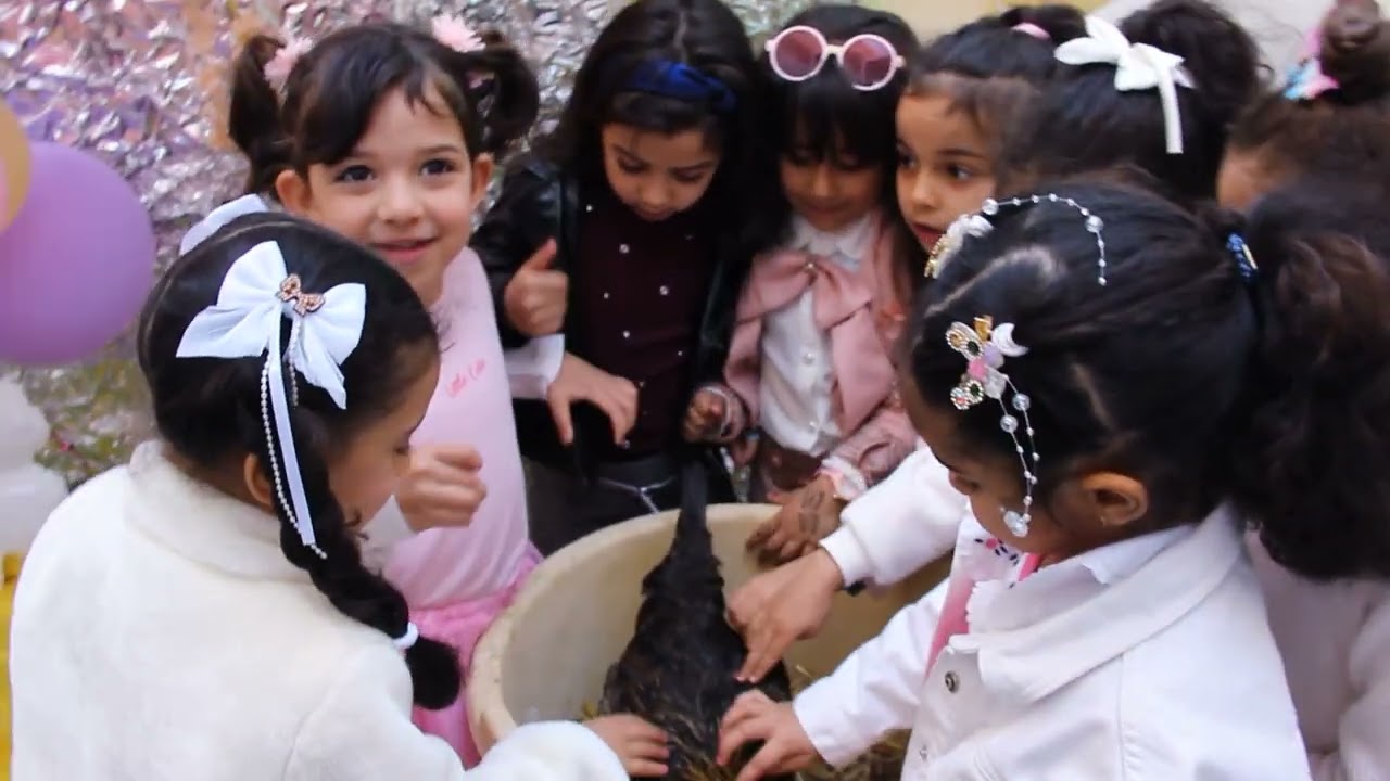 دجاج دجاجتي البيوضة نحميها و نعتني بيها