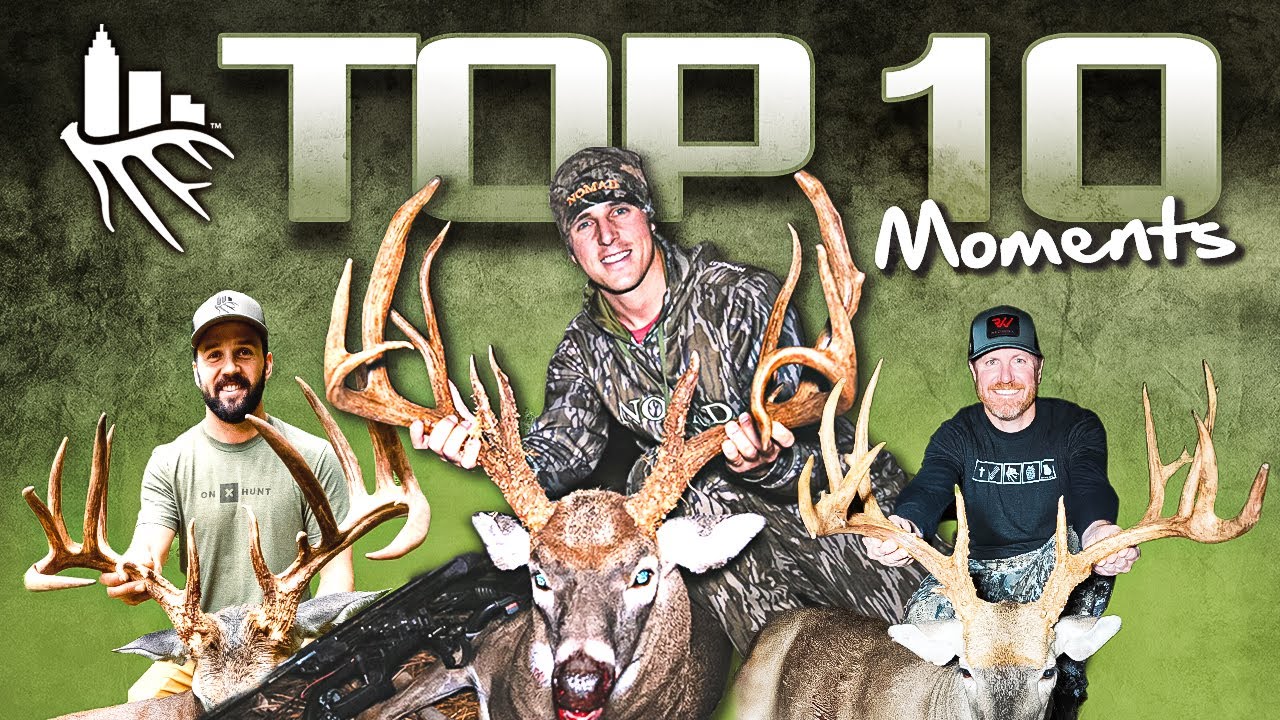 TOP 10 Moments of SEEK ONE!! (A Decade Of Footage)