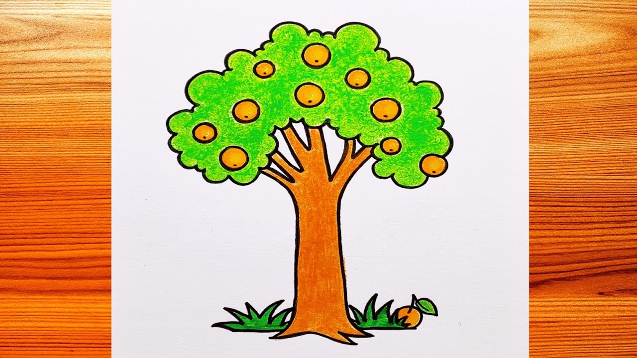 Orange Tree Drawing Easy | Art of Kala