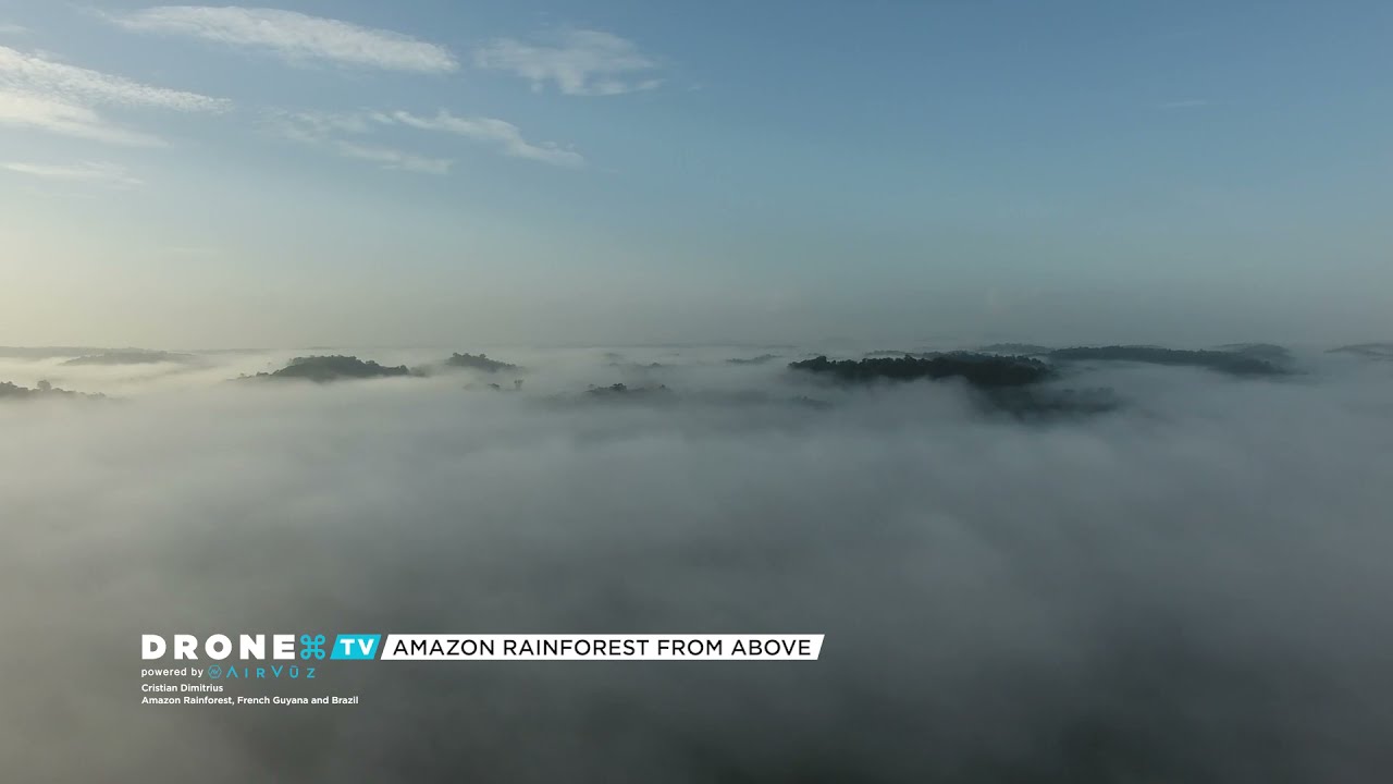 Journey Above the Amazon Rainforest by Drone