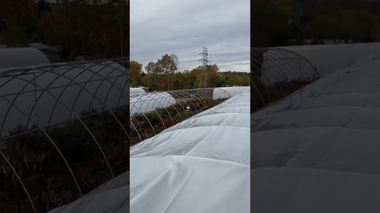 Getting the Greenhouses ready for winter #nurserylife