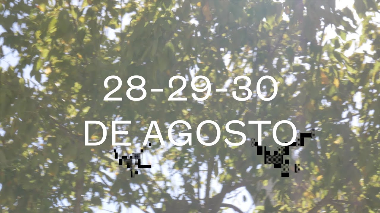 Recap 28-29-30 de Agosto | IndieLisboa 2020