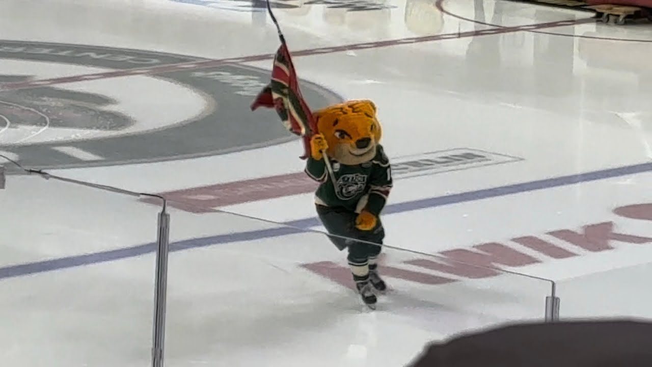 We had a Wild night #hockey 