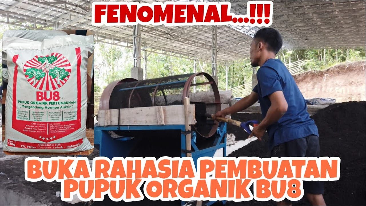 AJIIIBBB...!!! SIDAK PABRIK PUPUK ORGANIK BU8 BUAT POHON DURIAN UNGGULAN // ORGANIC FERTILIZER