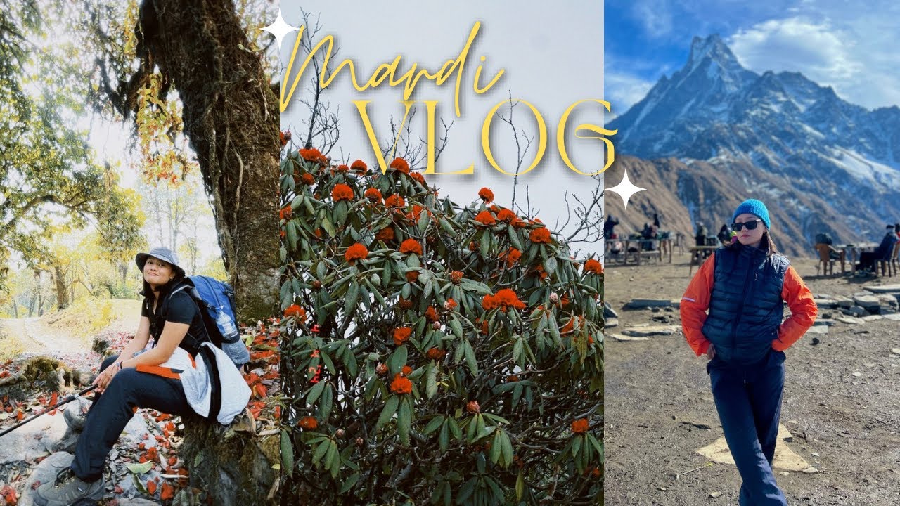travel diaries: Mardi Himal Trek 🏔️