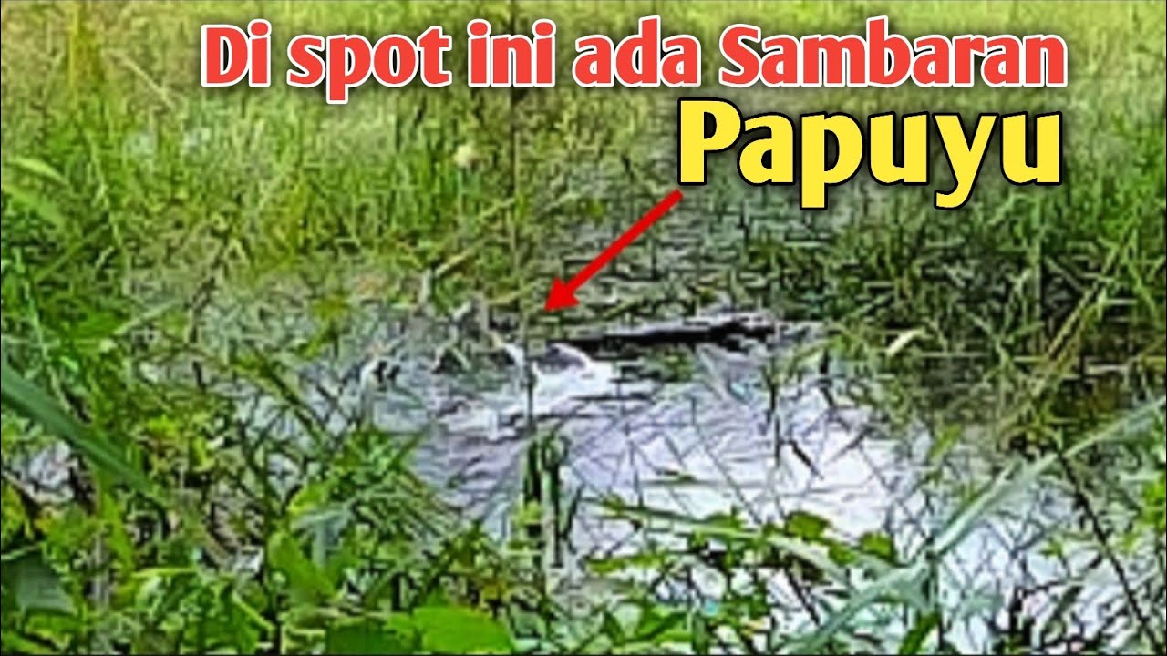 Mancing di spot banjiran masih ada Sambarannya 