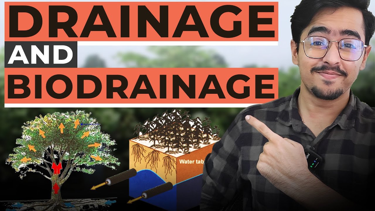 Drainage and Biodrainage #agronomy #icarjrf #soilscience #irrigationm