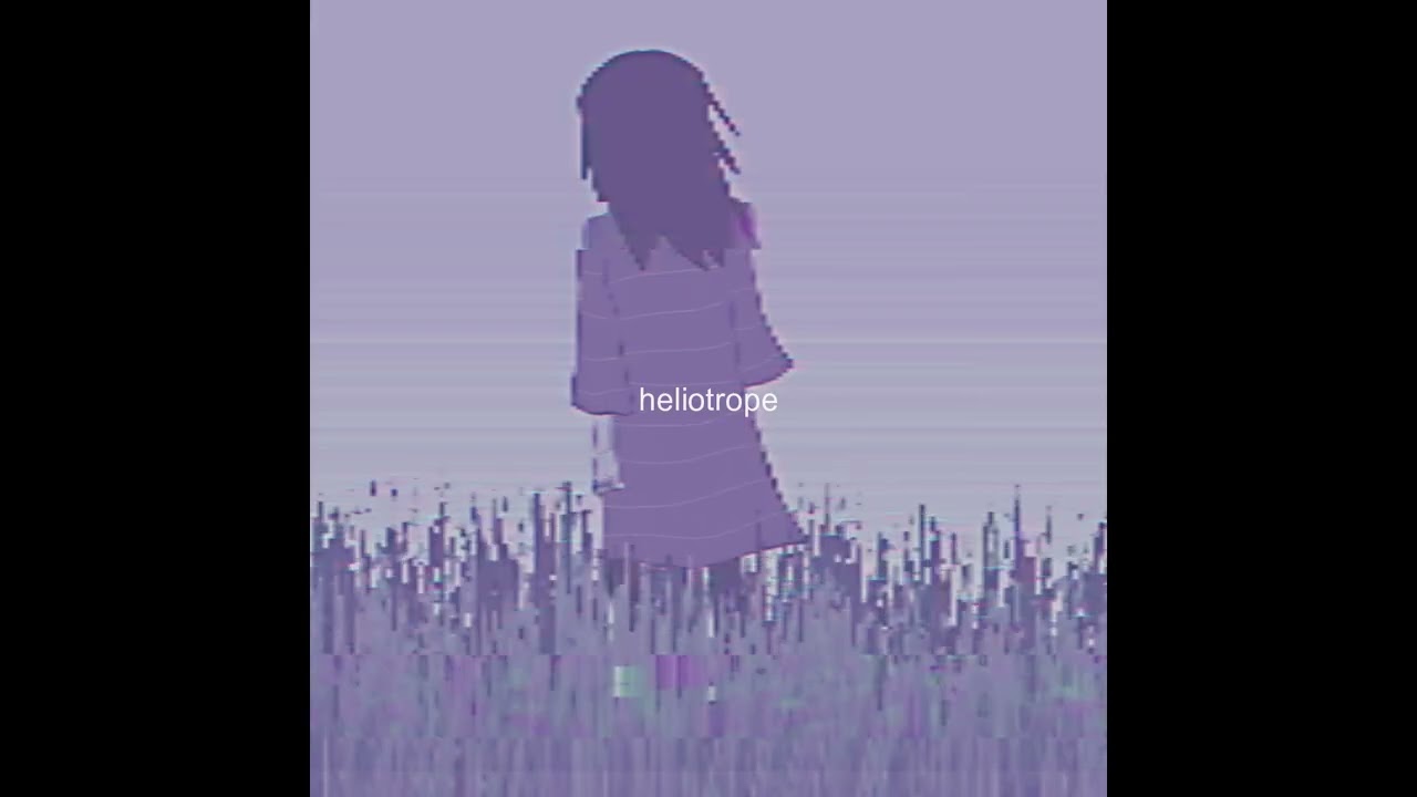 heliotrope