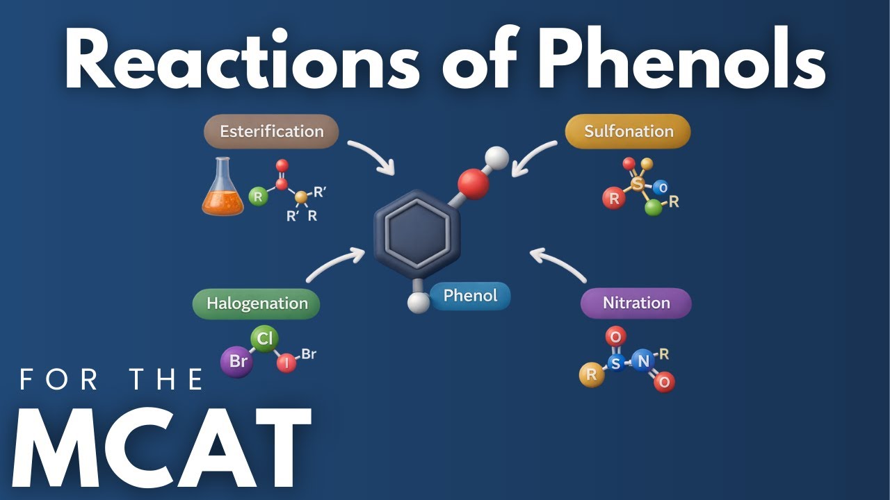 Реакции фенолов, описанные в тесте MCAT, объяснены за 4 минуты.