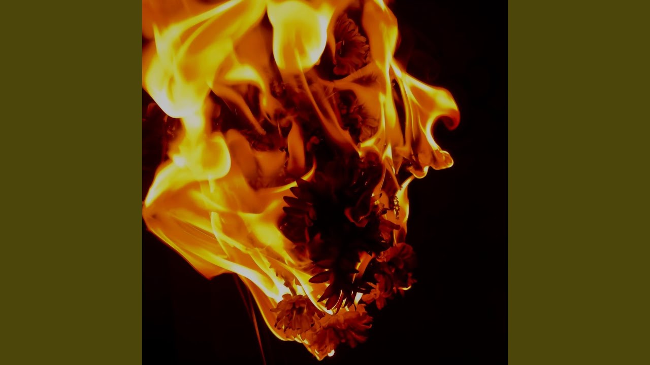 P&eacute;tales de fleur