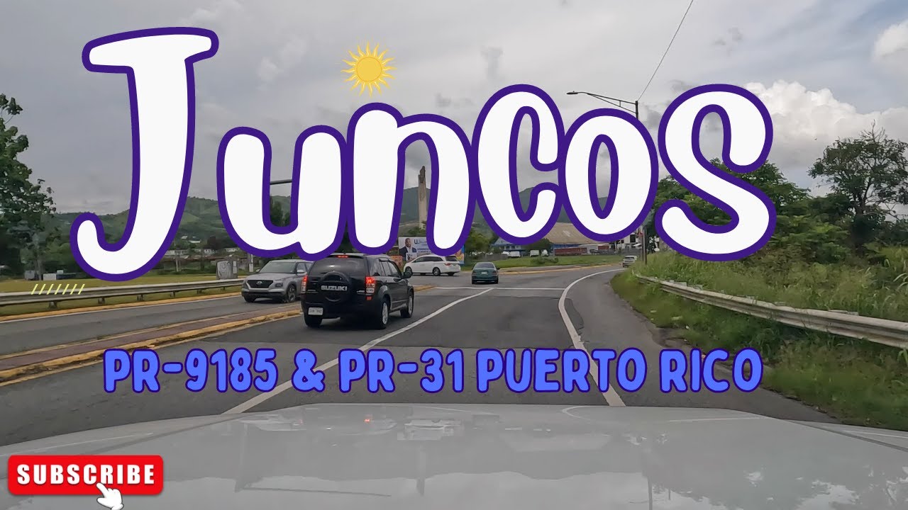 Juncos, PUERTO RICO in 4K! Roads 9185 & 31 in 2024