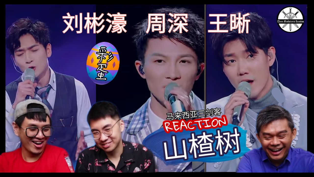【REACTION】周深 & 王晰 &刘彬濠 《山楂树》完美三重唱听醉三剑客！|| 3 Musketerrs Reaction马来西亚三剑客【ENG SUBS】