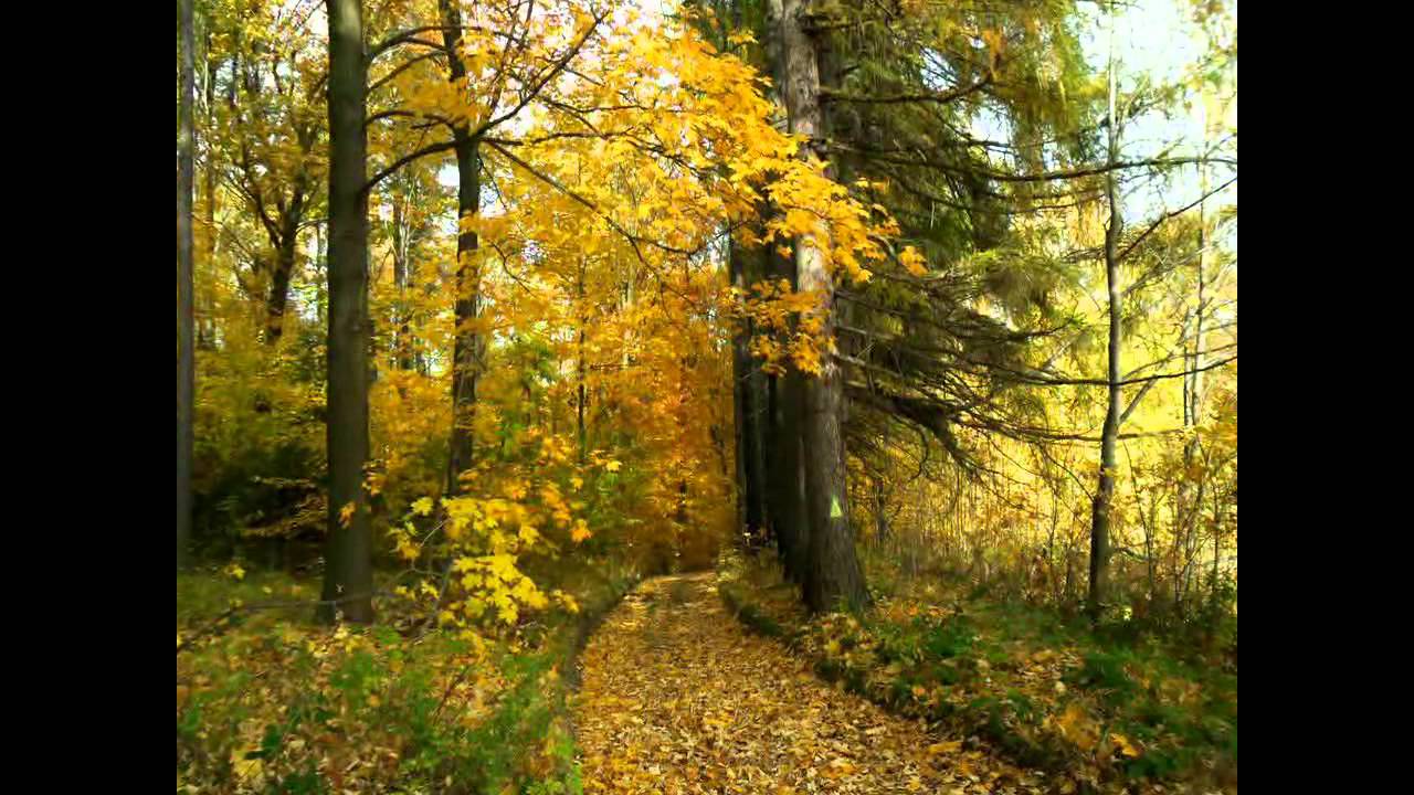 Antonio Vivaldi - Cztery Pory Roku - Jesień / The Four Seasons - Autumn