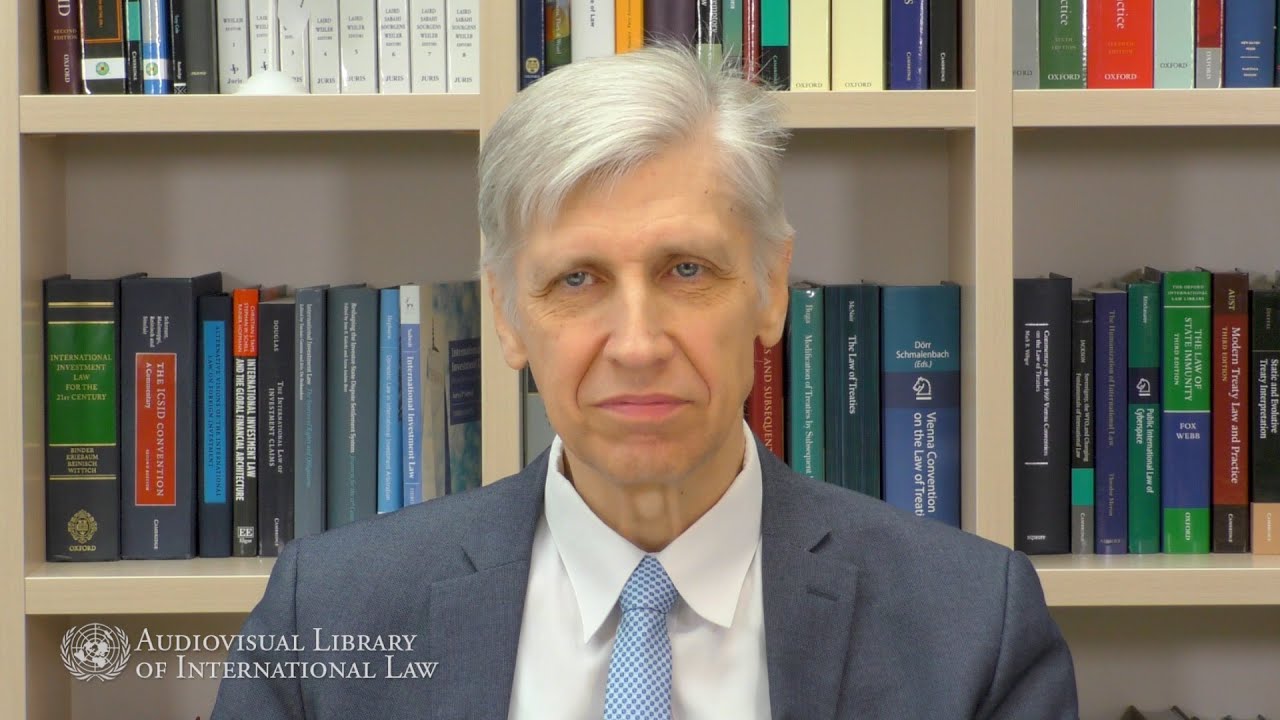 Alexei Avtonomov on Individual Communications by Treaty Bodies within the System of the UN