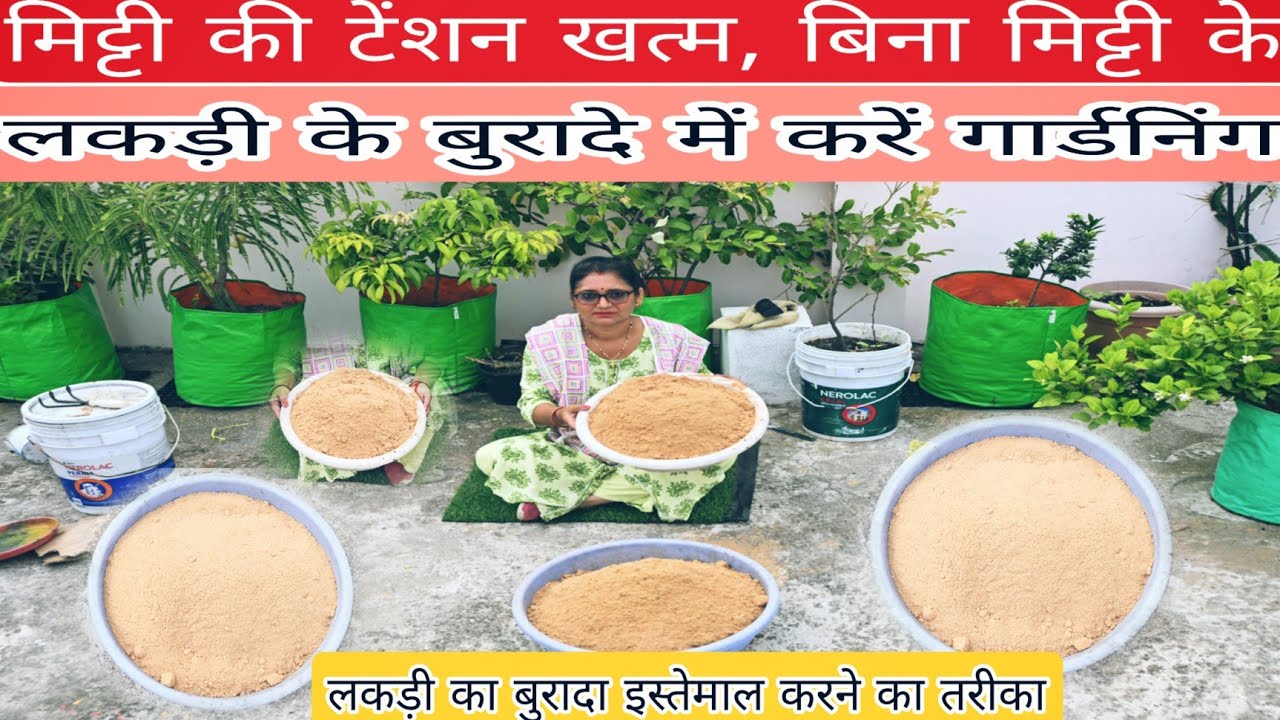 लकड़ी के बुरादे में पौधों को कैसे लगाएं// how to use Wood dust for plant#gardening #gardenplants