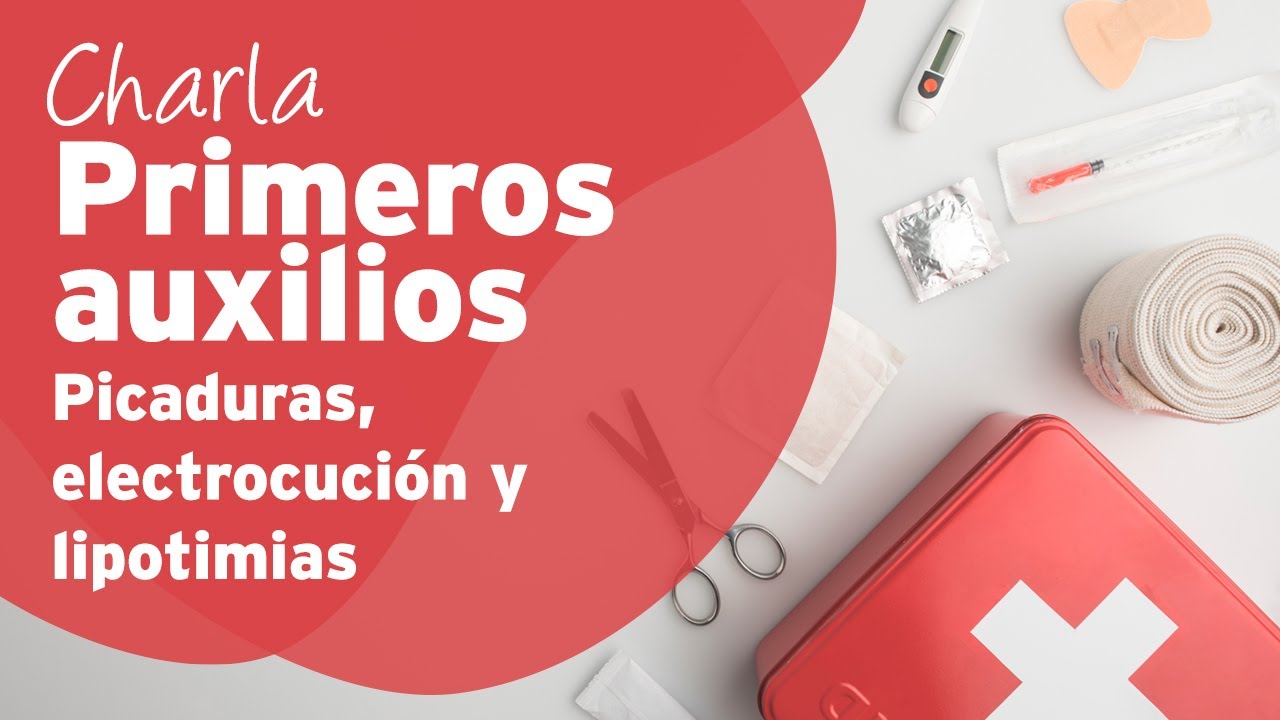 Primeros auxilios - Picaduras, electrocución, lipotimias - Clínica Alemana - Clínica Alemana