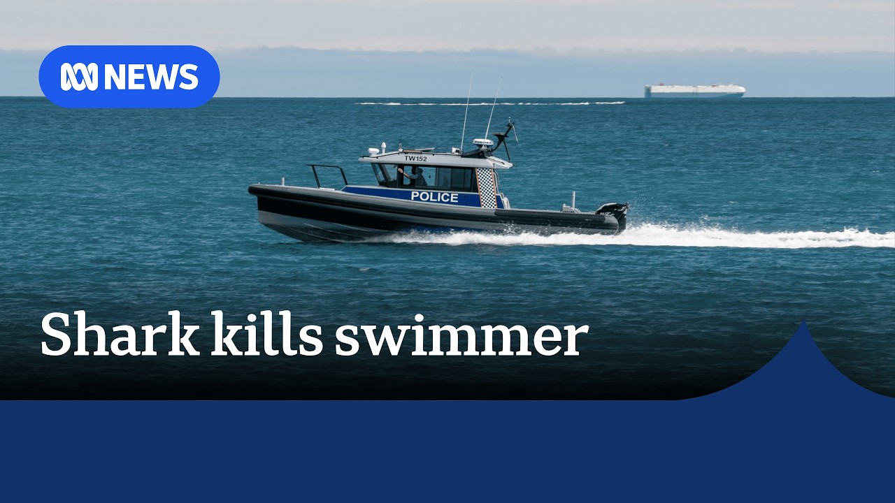 Swimmer dies in shark attack at Perth beach | ABC NEWS
