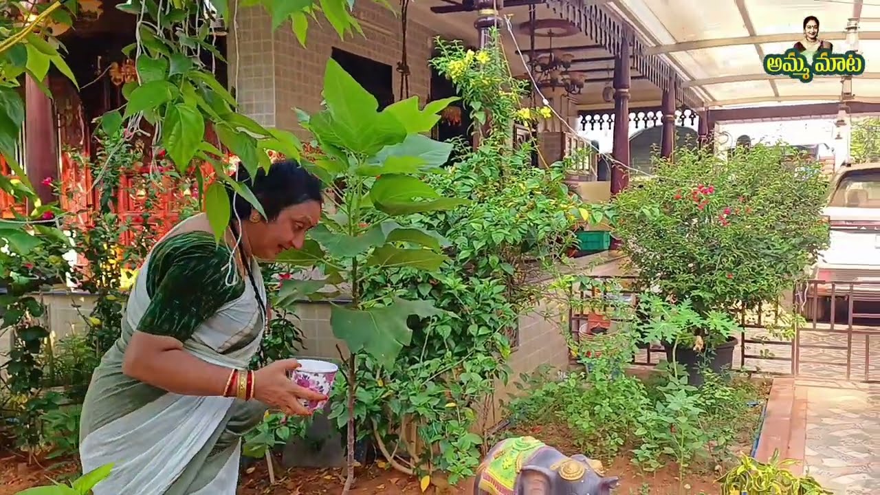 నాఈసమస్యనుఎవరుతీర్చగలరోవారేతీర్చాలి| కడుపునుంచి తన్నుకొస్తున్న ఈ బడబాగ్నిని ఆయనకే సమర్పిస్తున్న