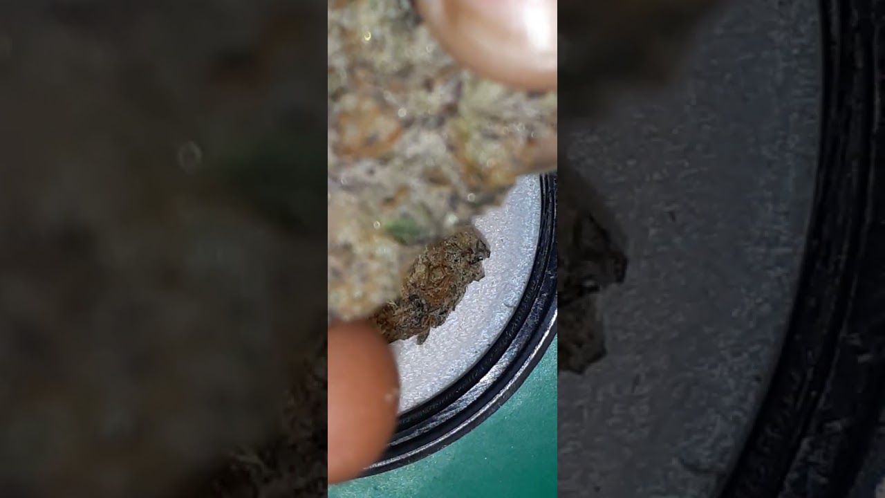 UPLOAD FROM MY MARIJUANA REVIEW CHANNEL. @herballessance420