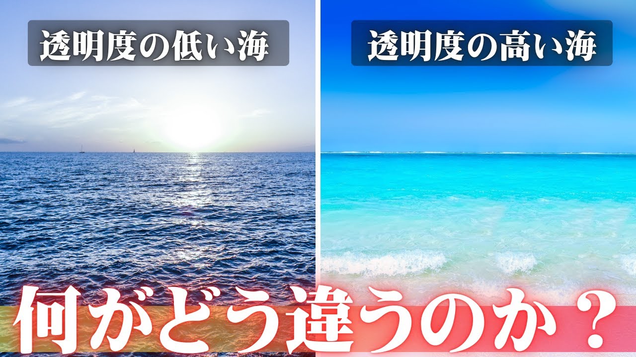 海はなぜ美しい青なのか？──光・プランクトン・海底で読み解く「透明度の科学」【世界＆日本の美しい海】