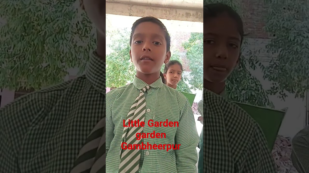 little Garden school Gambheerpur #shortsfeed #shorts #shortvideo #shorts