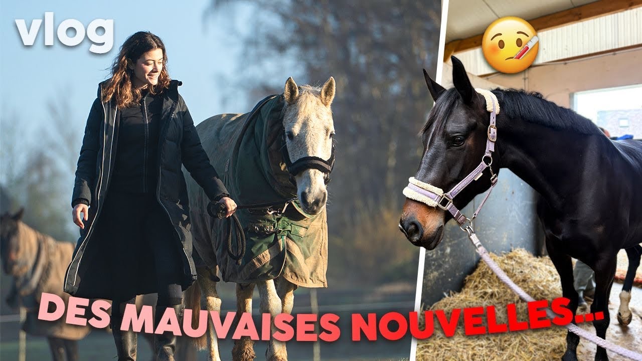 Khaleesi est malade... et on fait du travail à pied avec Sligo