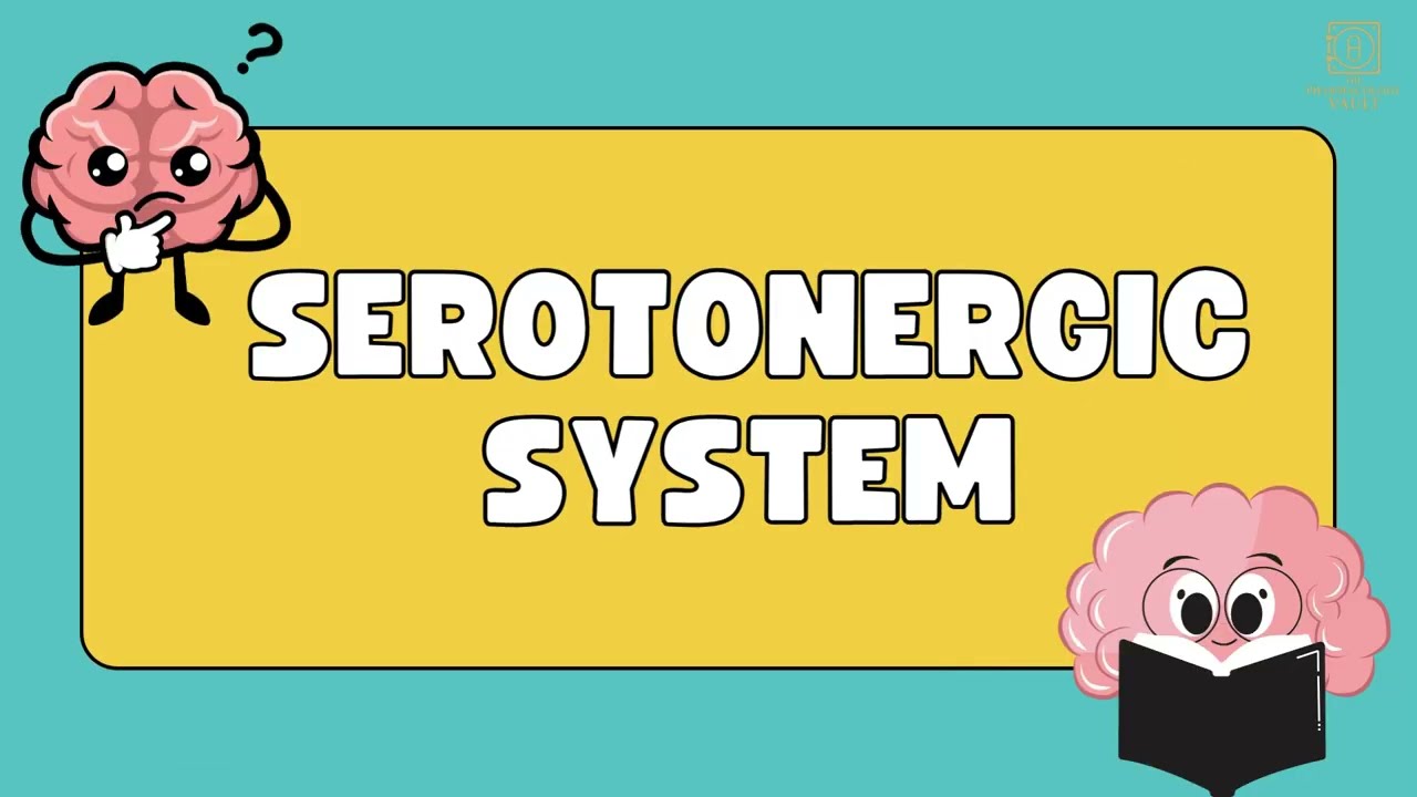 Serotonergic System Simplified: 5-HT Receptors, Functions, Drugs & Clinical Relevance Explained!