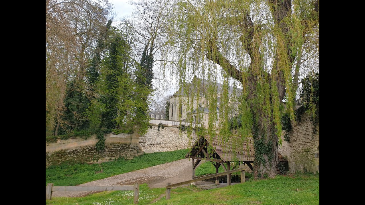 Compostelle - Voie Tours (1/4) : Tours - Poitiers (03/2024)