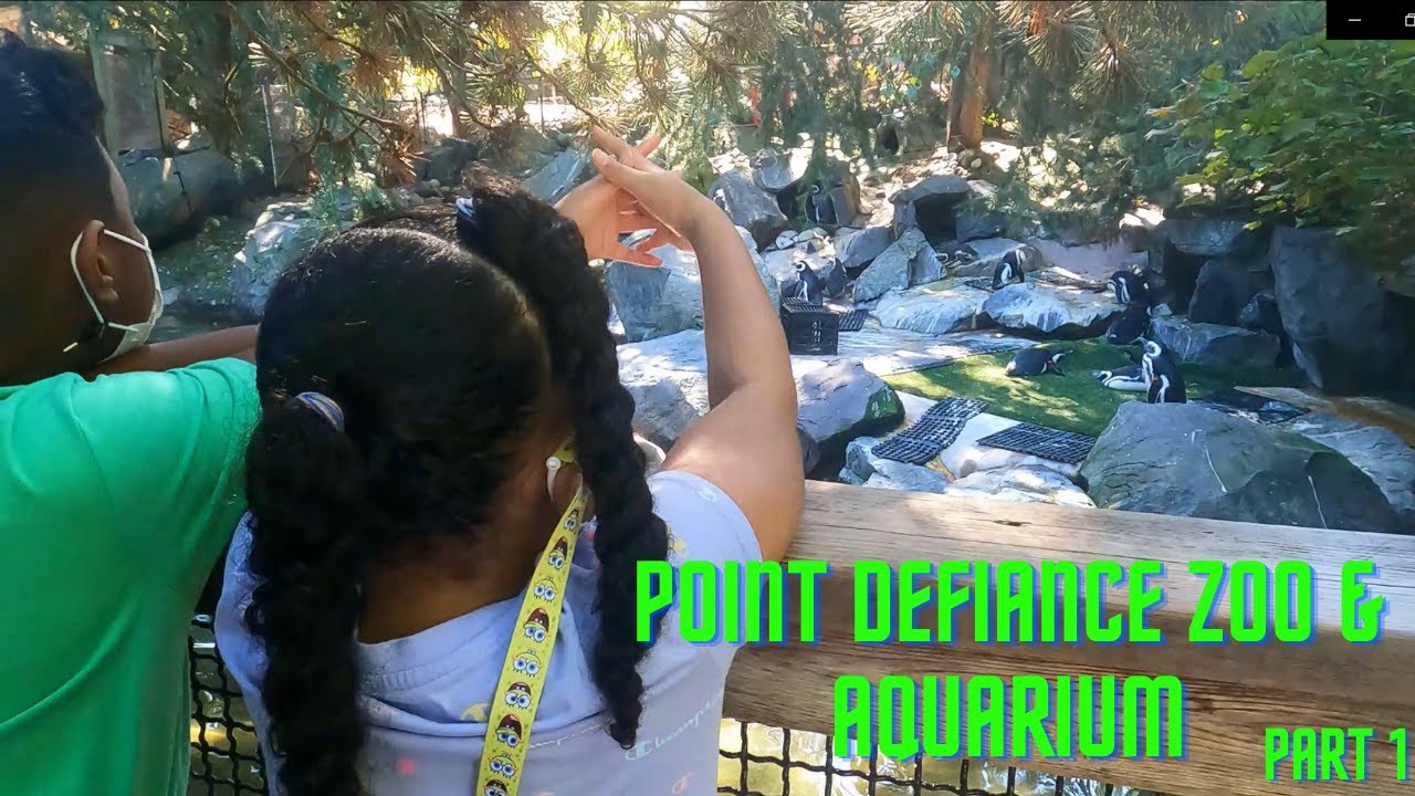 MY VERY FIRST VISIT TO A ZOO VLOG | POINT DEFIANCE ZOO & AQUARIUM PT 1 TACOMA, WA
