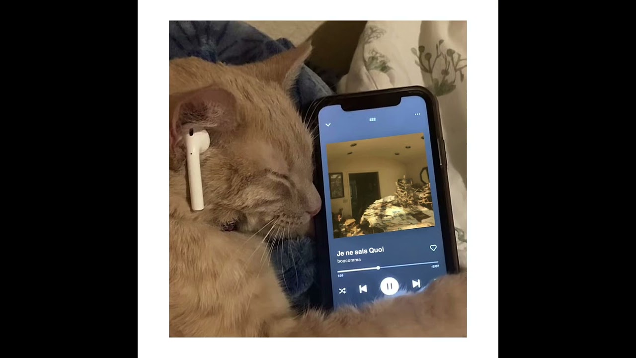 Je ne sais Quoi - Boycomma (sped up)