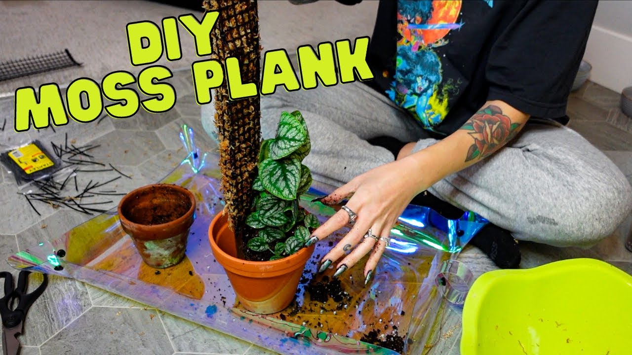 Making A Moss Plank For My Monstera Dubia