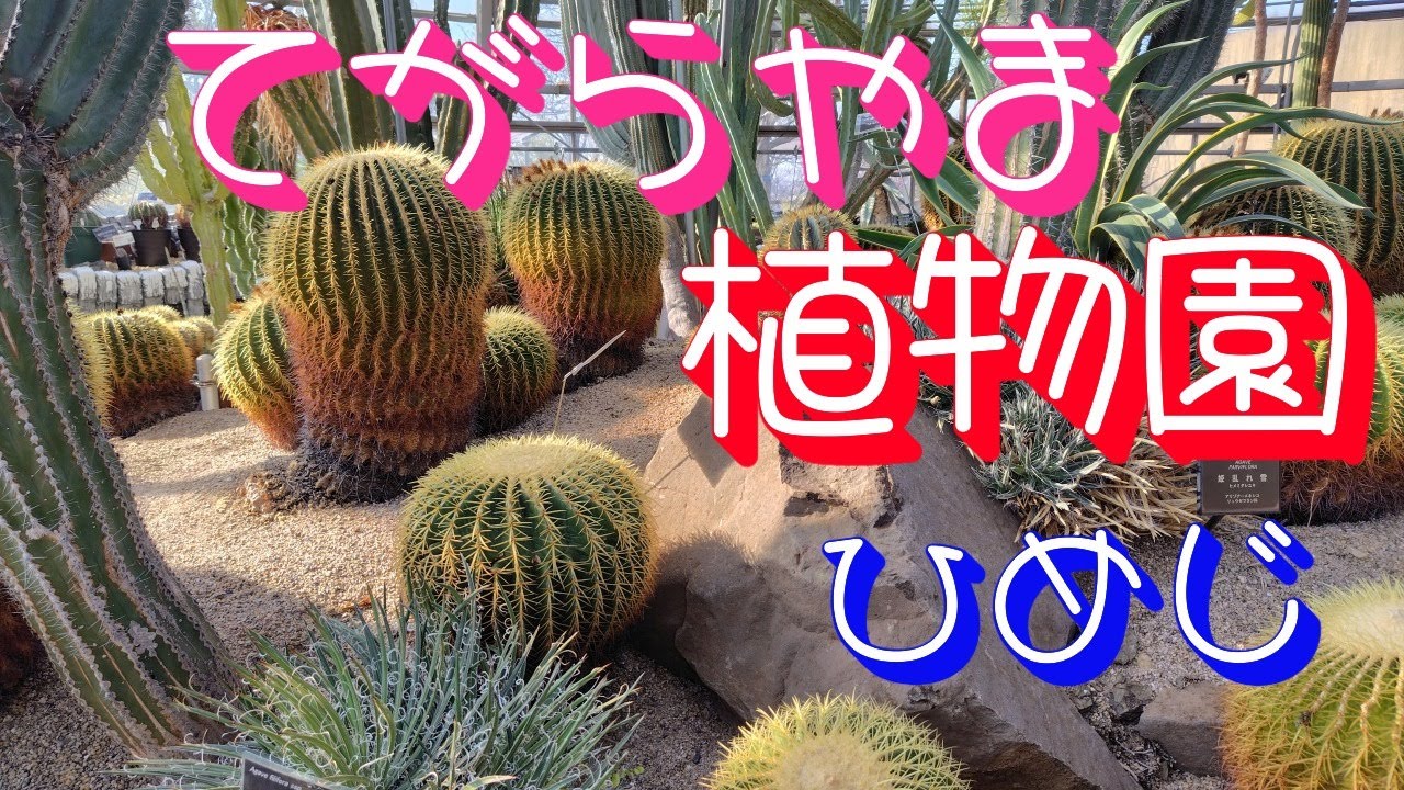 手柄山温室植物園に行って来た