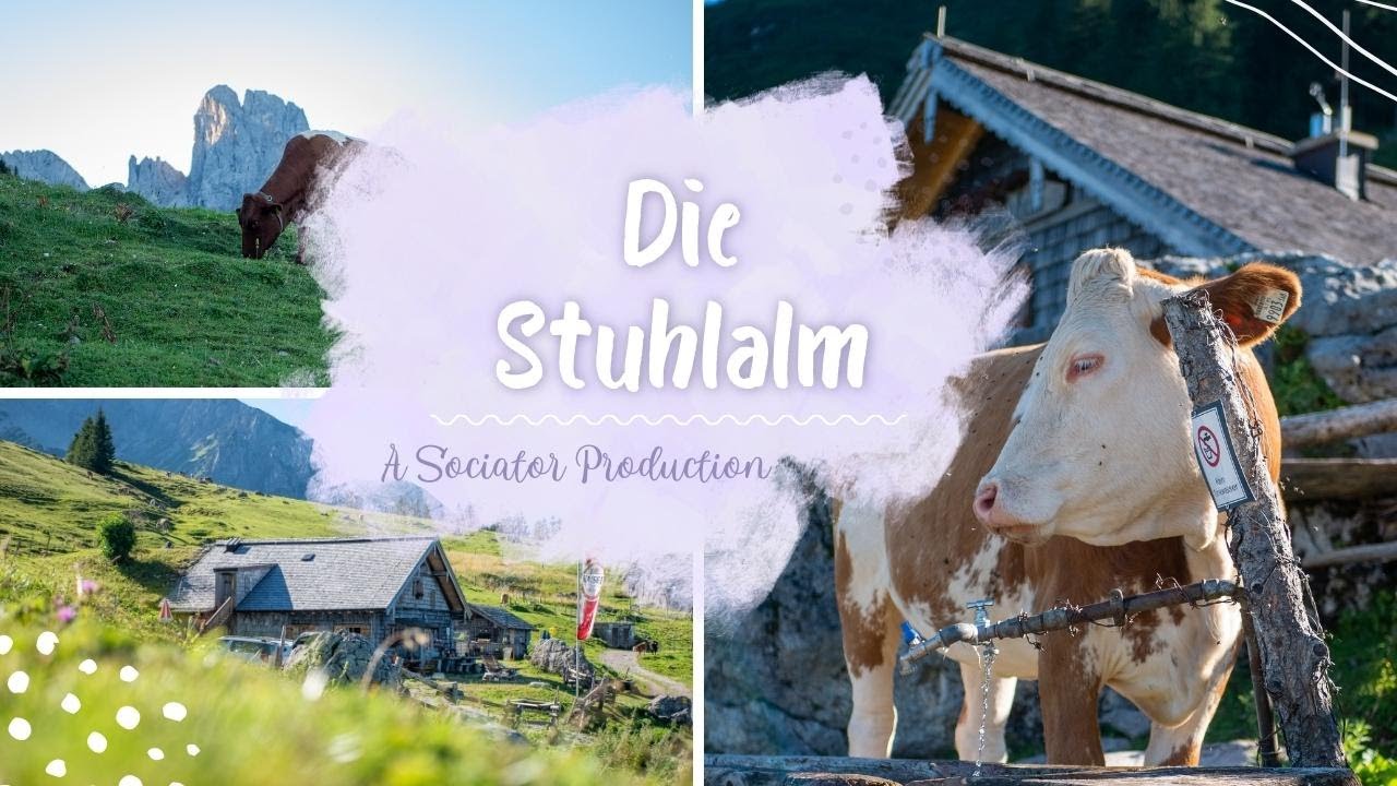 Die Stuhlalm bei Annaberg im Lammertal | A Sociator Production