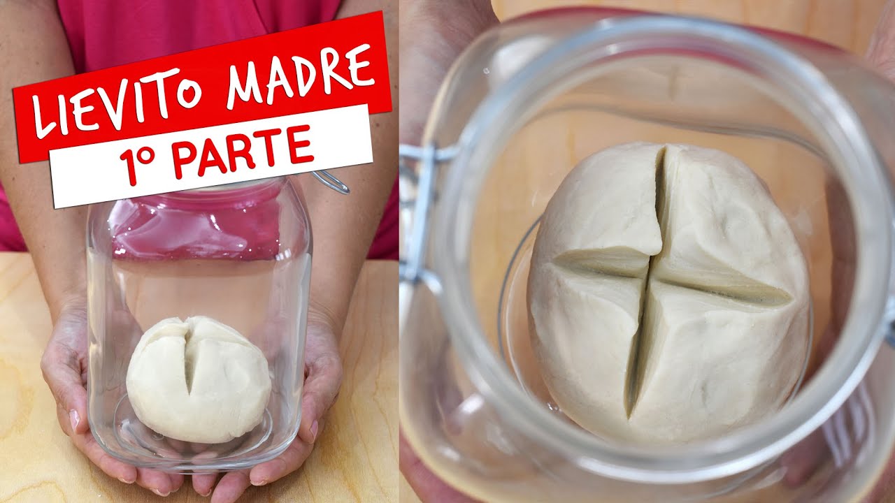Lievito madre: ingredienti e come crearlo - Prima Parte