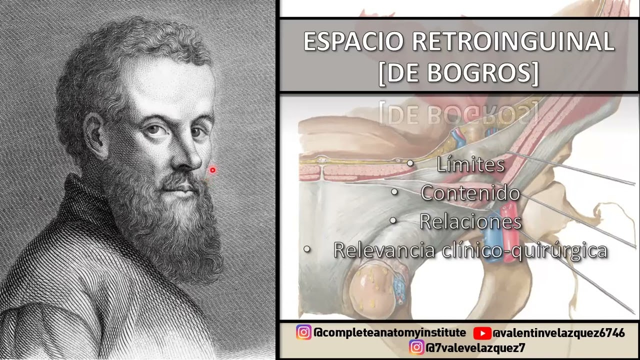ESPACIO DE BOGROS (RETROINGUINAL) - Orificio miopectíneo de Fruchaud, círculo venoso de Bendavid