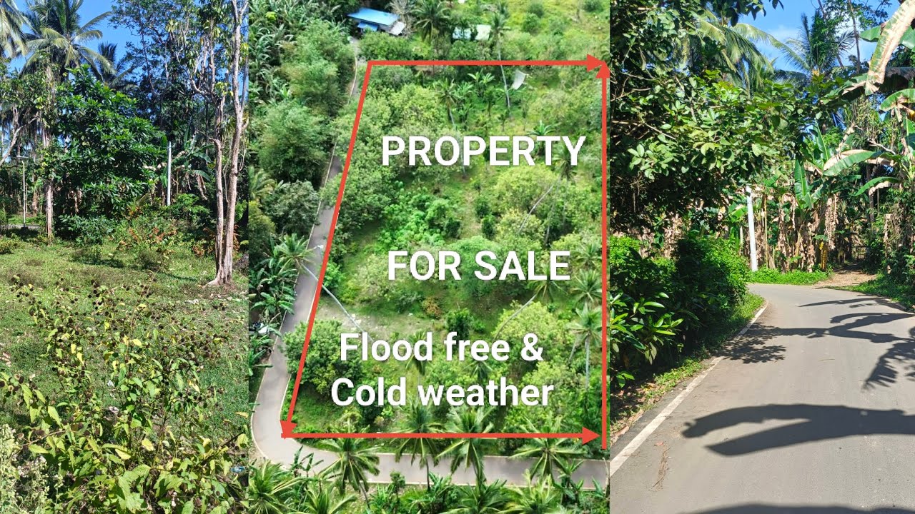 #Vlog419 FARM LOT FOR SALE | ALONG CEMENTED ROAD