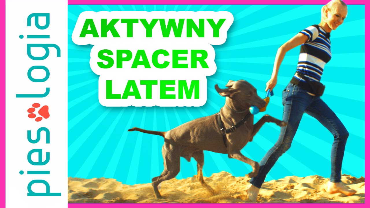 Aktywny spacer latem