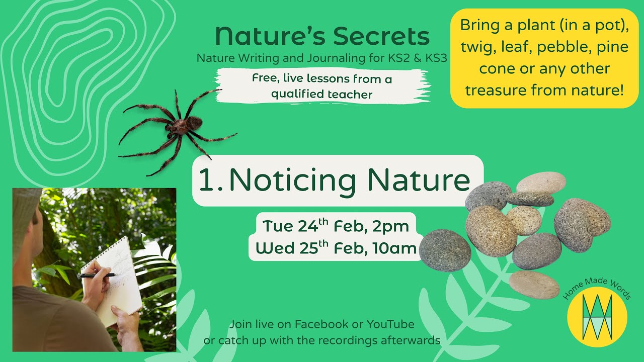 Nature's Secrets - Session 1 - Noticing Nature