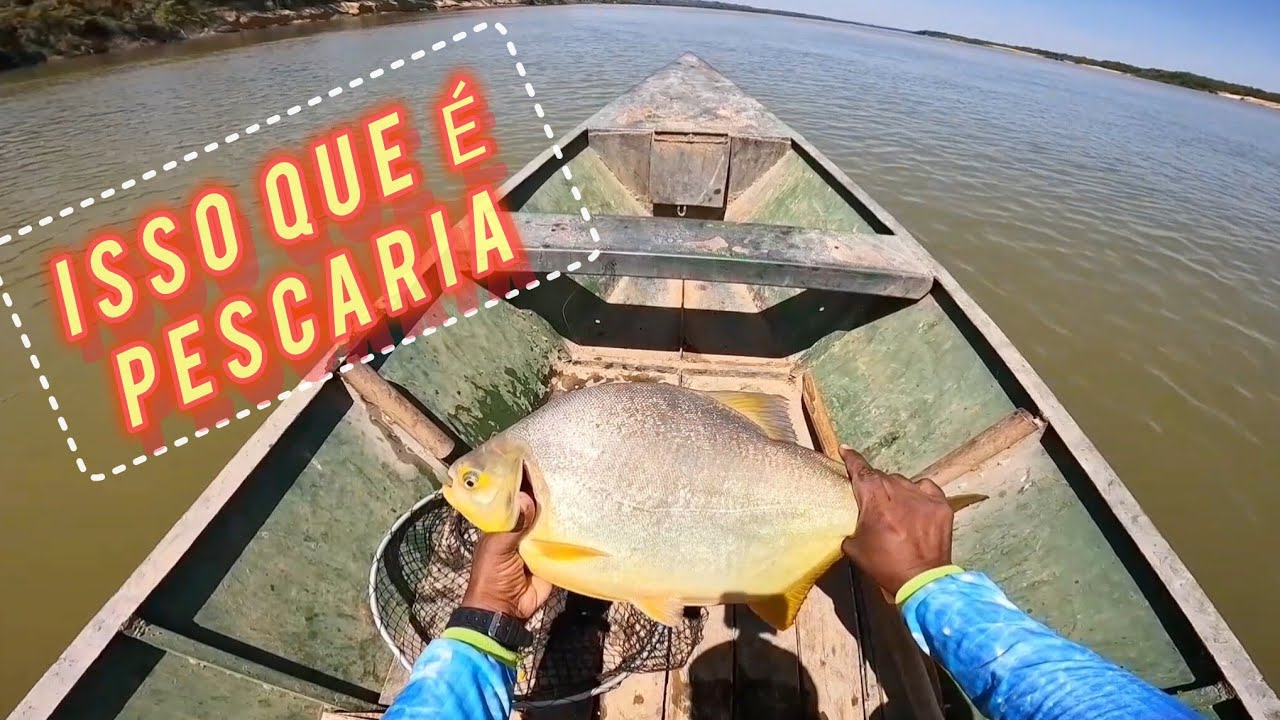 TANTO PEIXE QUE O BRAÇO DOEU- PESCARIA NO RIO SÃO FRANCISCO MG-