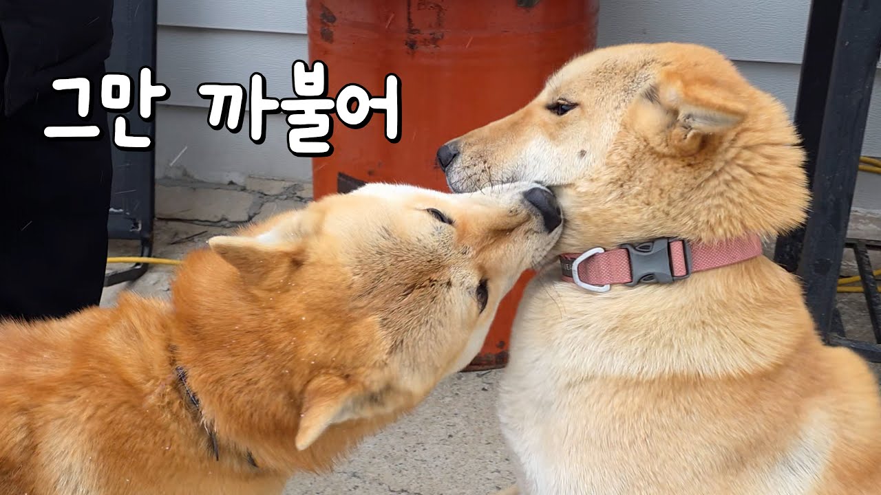 오늘 뭘 잘못 먹었나