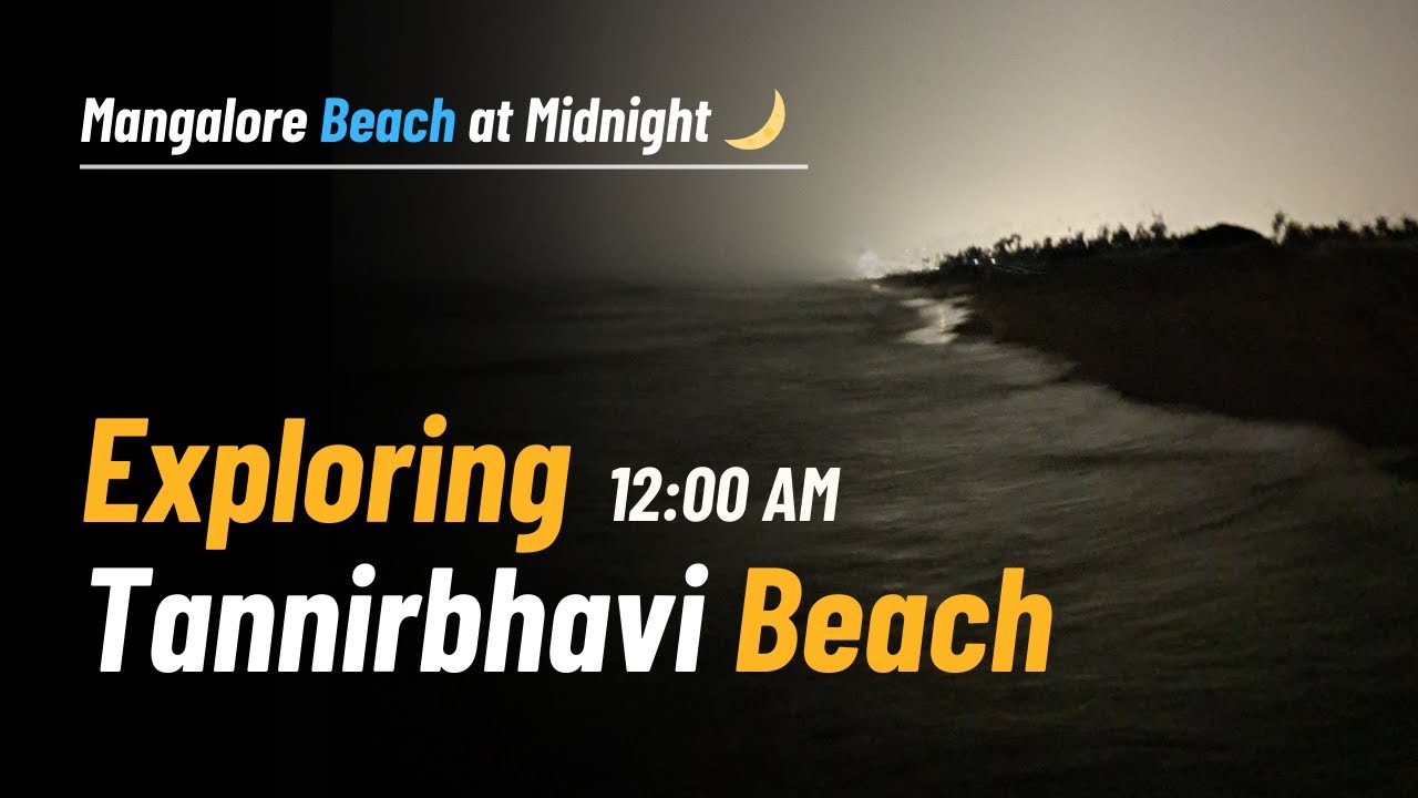Exploring Tannirbhavi Beach Mangalore at Midnight | Crab Hunting & Local Food