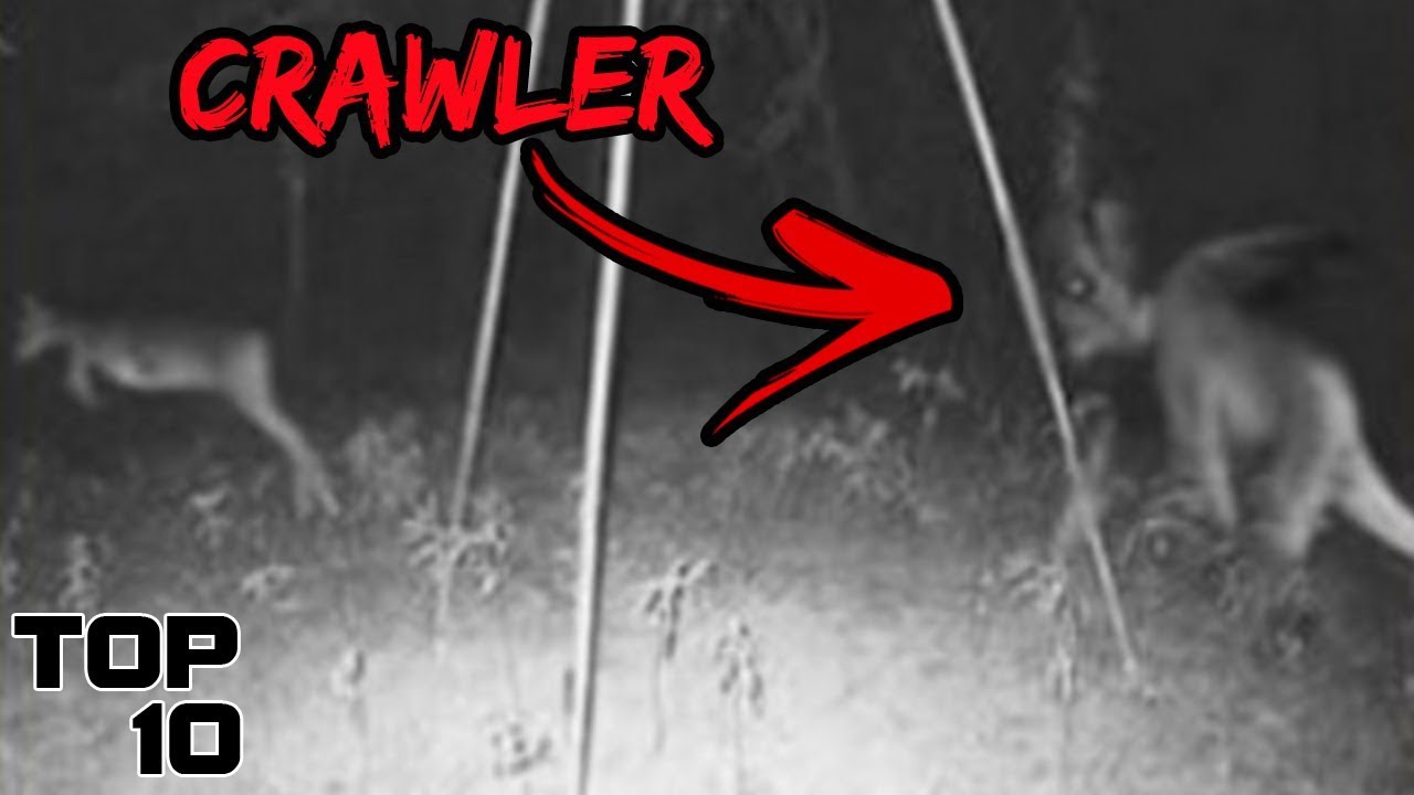 Top 10 Scary Crawler Sightings