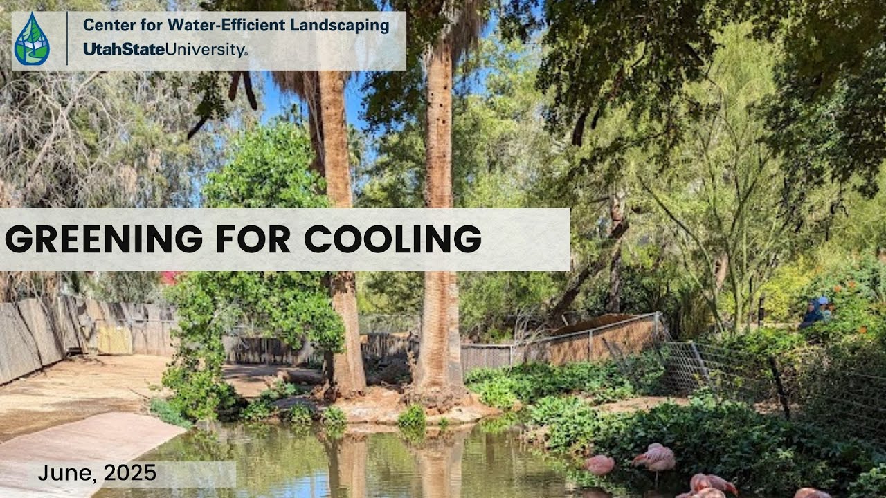 Greening for Cooling