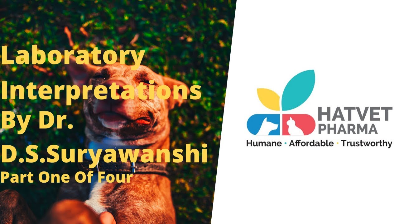 Hatvet's Webinar On Small Animal Laboratory Interpretations By Dr. D.S. Suryawanshi - Part 1