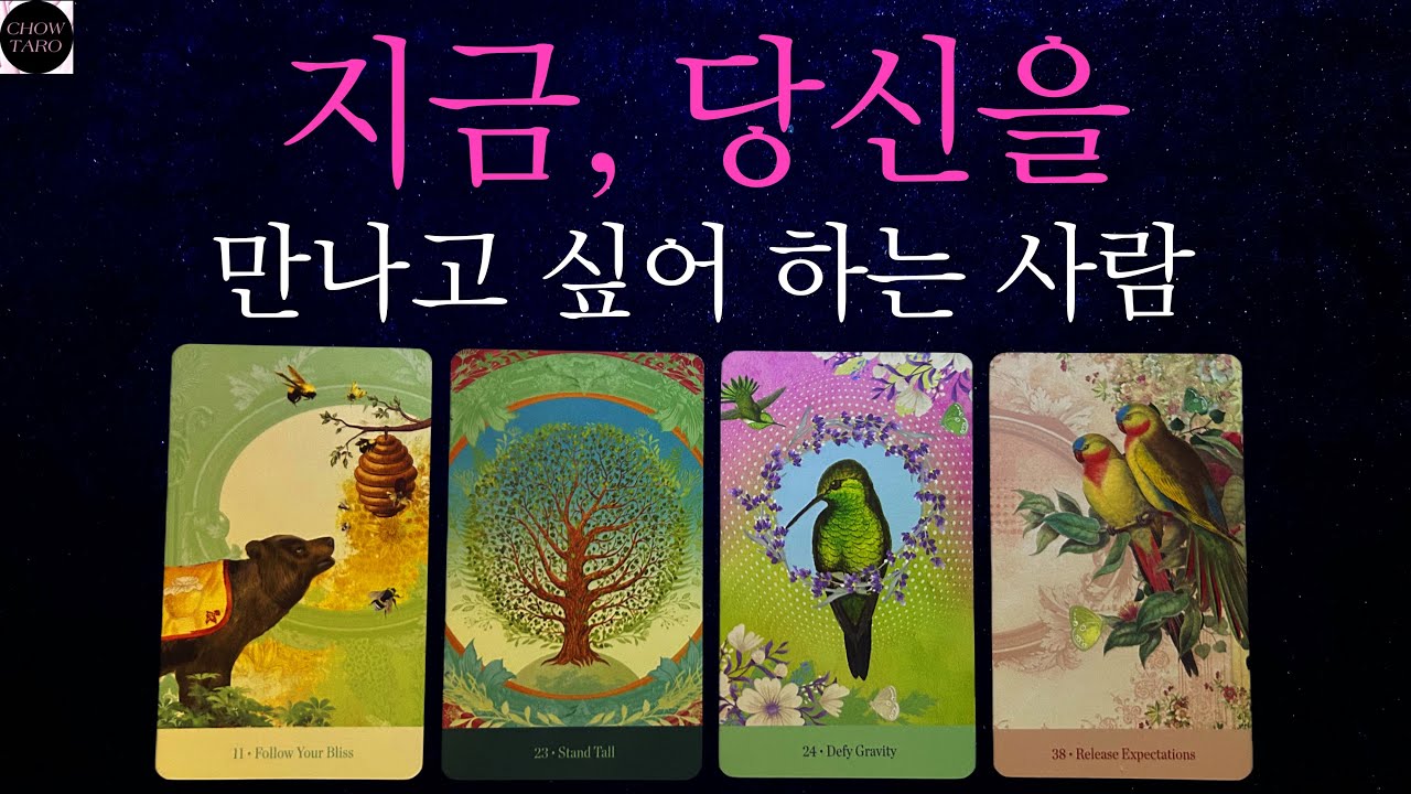 [쵸우타로]💞나를 만나고 싶어 하는 사람과 그 이유!💖💕💝