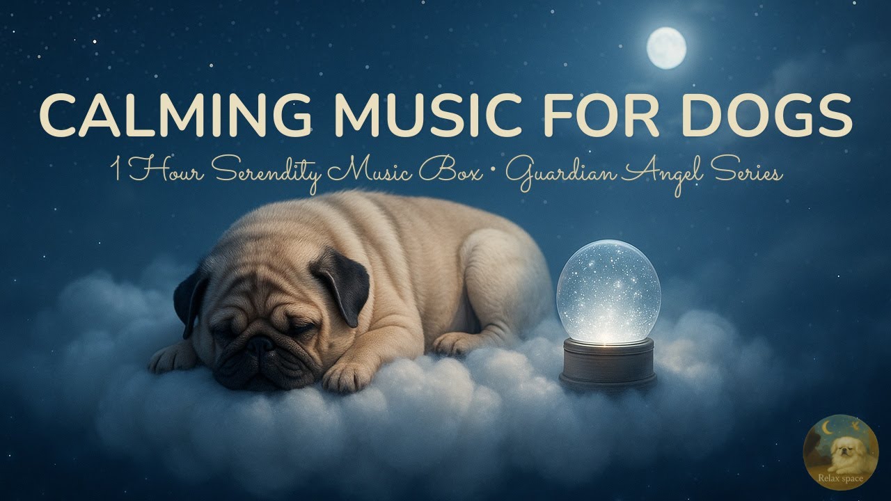 1 Hour Serenity Night Music Box – Deep Sleep & Comfort for Dogs | Guardian Angel Vol 16